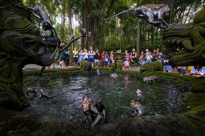 Bali Ubud Zipline, Monkey Forest and Waterfall Adventure - Sacred Monkey Forest Sanctuary: Fun Up Close, Rules Up Fast