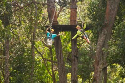 Big Island: 3-Hour Kohala Canopy Zipline Adventure - The 3-hour canopy course: 8 lines, 6 bridges, and a rappel