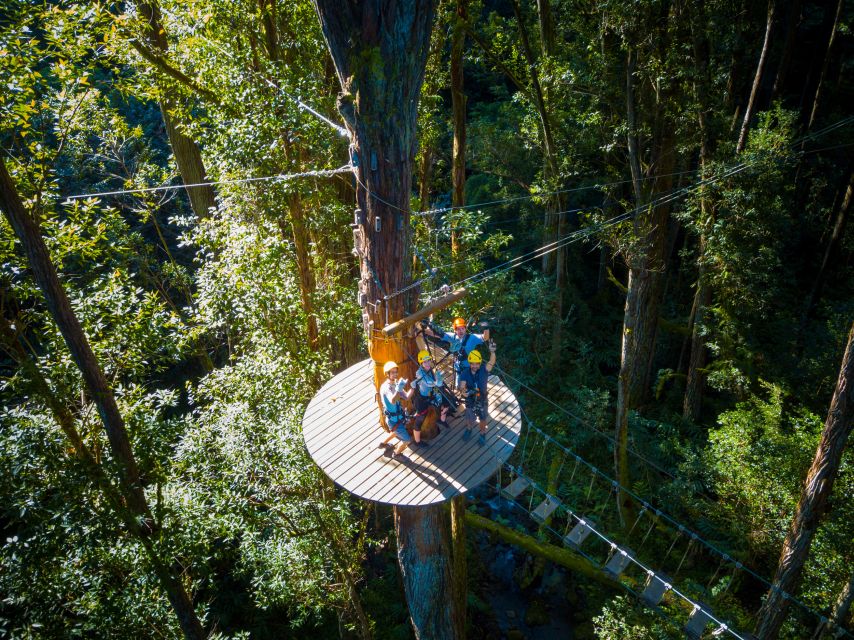 Big Island: 3-Hour Kohala Canopy Zipline Adventure - What you get for $256: gear included, add-ons cost extra