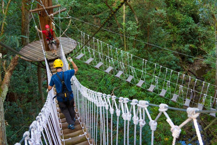 Big Island: 3-Hour Kohala Canopy Zipline Adventure - Should you book Kohala Zipline’s 3-hour canopy tour?