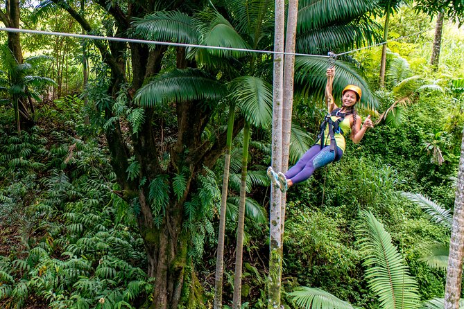 Big Island: 8-Zipline & Suspension Bridge Waterfall Adventure - Quick hits before you gear up