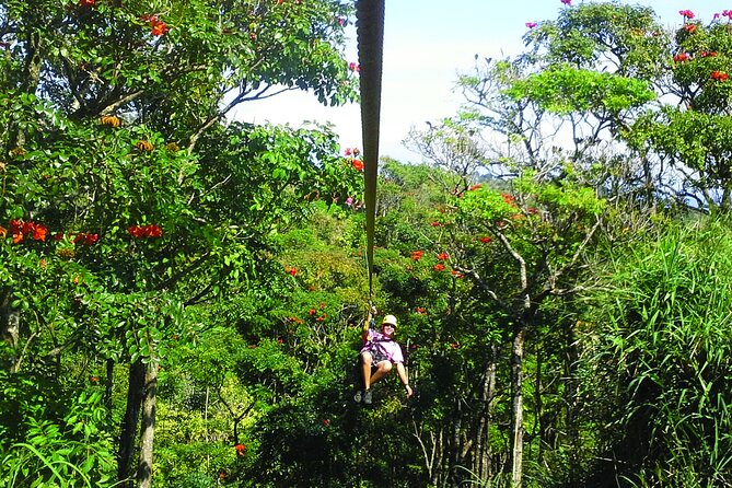 Big Island: 8-Zipline & Suspension Bridge Waterfall Adventure - Price and value: where the $237.70 goes