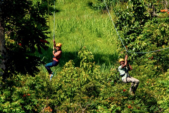 Big Island: 8-Zipline & Suspension Bridge Waterfall Adventure - The 8 ziplines: how the course ramps up