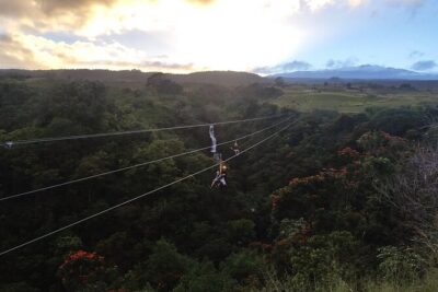 Big Island: 8-Zipline & Suspension Bridge Waterfall Adventure - Botanical World Adventures: start here, set your expectations
