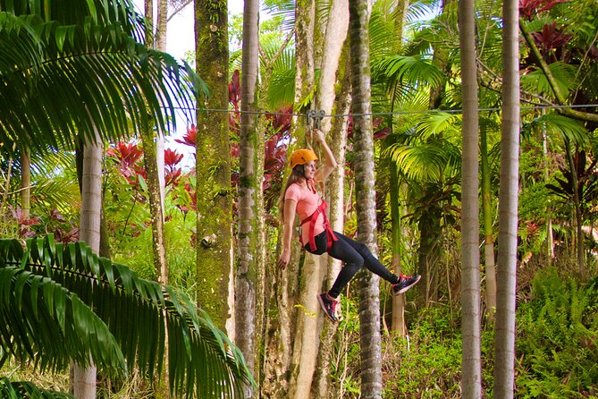 Big Island: 8-Zipline & Suspension Bridge Waterfall Adventure - Water, photos, and the small details that matter