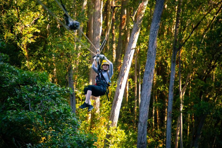 Big Island: Full-Day Kohala Zipline and Waterfall Adventure - Quick takeaways for your Kohala Zipline and Waterfall day
