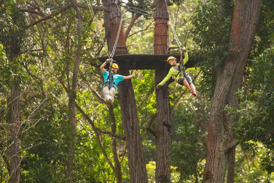 Big Island: Full-Day Kohala Zipline and Waterfall Adventure - Price and value: what $361 buys you (and how it compares to doing this piecemeal)