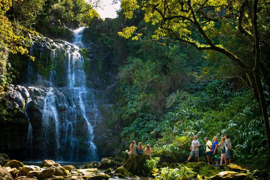Big Island: Full-Day Kohala Zipline and Waterfall Adventure - Small-group pace and how the 9 hours actually feel