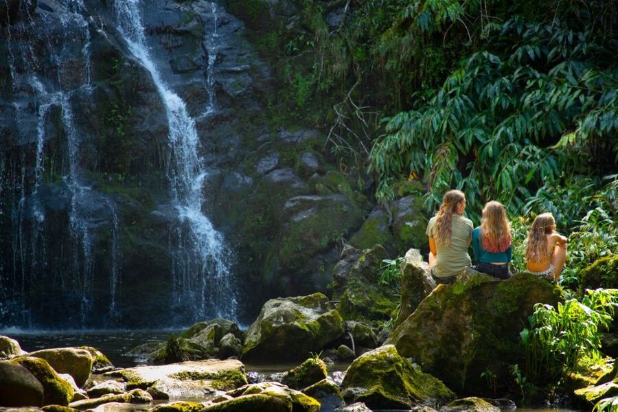 Big Island: Full-Day Kohala Zipline and Waterfall Adventure - Transport and comfort: the van isn’t an afterthought