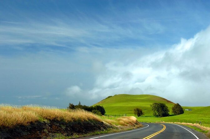 Big Island Kohala Canopy Zipline Adventure - Key Highlights at a Glance