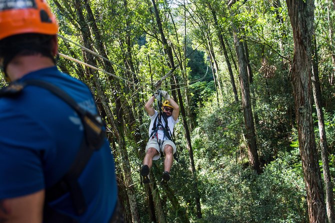 Big Island Kohala Canopy Zipline Adventure - Meeting at Hawi and Getting Ready for a Small-Group Run