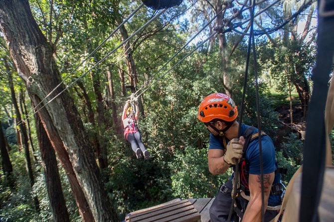 Big Island Kohala Canopy Zipline Adventure - Pace, Views, and the “Big Moment” Lines You’ll Remember