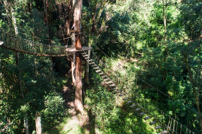 Big Island Kohala Canopy Zipline Adventure - What to Wear (and Bring) So You Don’t Spend the Day Thinking About It