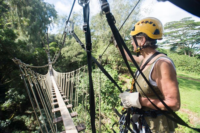 Big Island Kohala Canopy Zipline Adventure - The Kohala Stop: Treetop Trekking, Suspension Bridges, Then Multiple Zips
