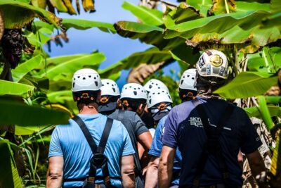 Big Island Zipline Tour Near Akaka Falls (250-ft Waterfall!) - What You’ll See: Pacific Views Plus the Waterfall Finale