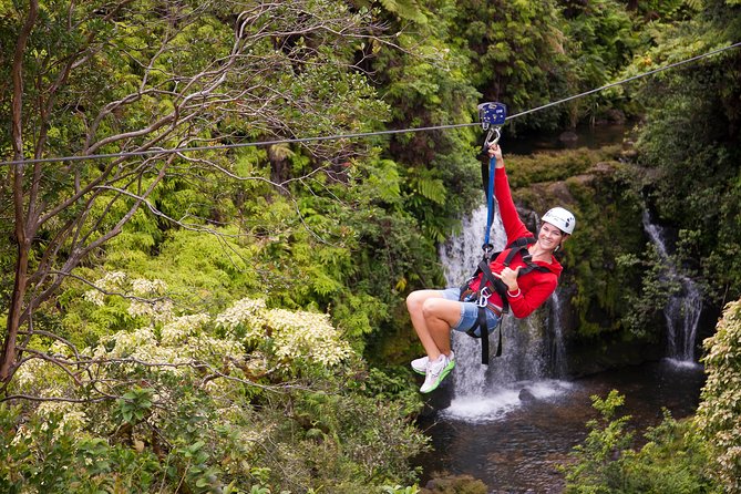 Big Island Zipline Tour Near Akaka Falls (250-ft Waterfall!) - Price and Value: What You’re Really Paying For
