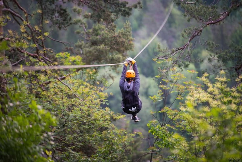 Bled: Europe's Longest Zipline Adventure over Dolinka River - Key points to know before you zip