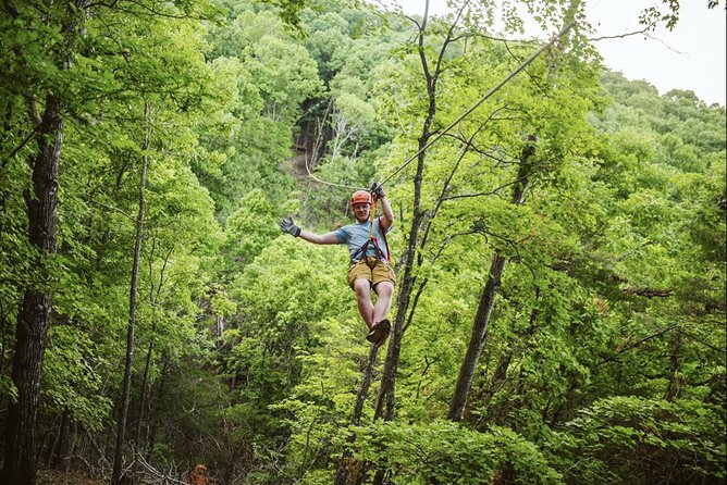 Bransons Best Zipline - Great Woodsman Canopy Tour - Price and Value: Is $96.60 Worth a 2-Hour Adventure?
