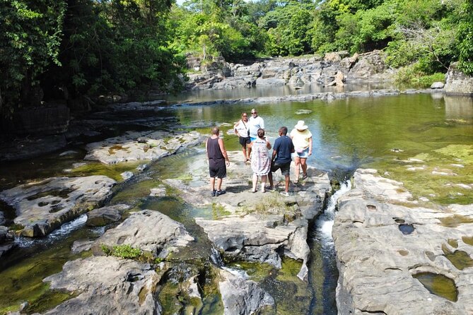 Buggy Ride, Horseback, Zipline,Eco Farm,Macao Beach - Lunch by the river plus Dominican chocolate and coffee