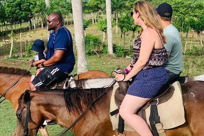Buggy Ride, Horseback, Zipline,Eco Farm,Macao Beach - Tobacco factory time and an open bar that follows the rules