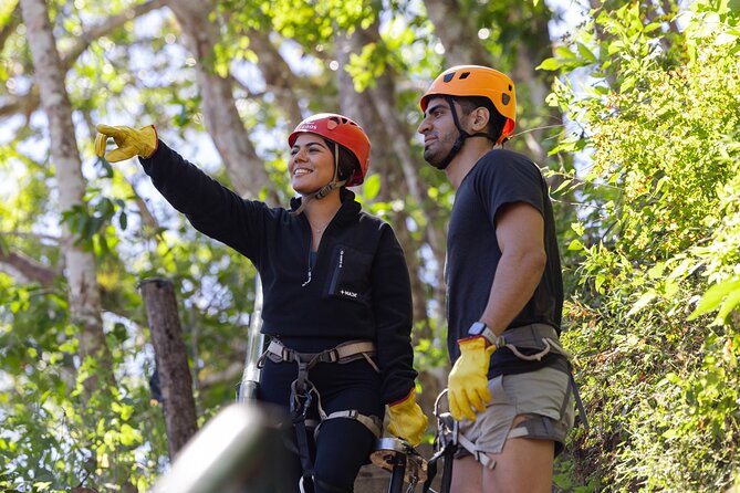 Canopy Los Veranos Zipline - Tequila Tasting for 21+: A Simple Cultural Bonus