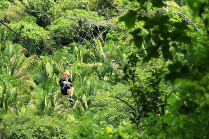 Canopy River Zipline Tour and Mule Ride - Quick Highlights (Canopy River Zipline + Mule Ride)