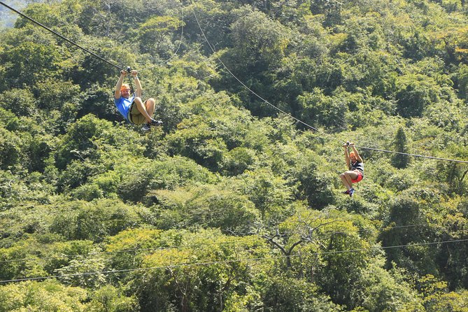Canopy River Zipline Tour and Mule Ride - Who This Tour Fits Best (And Who Should Think Twice)