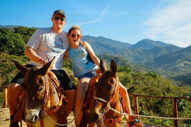 Canopy River Zipline Tour and Mule Ride - Canopy River Park: Zipline Setup, Safety Gear, and the Main Event