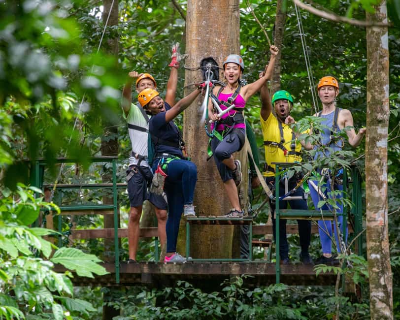 Castries, St. Lucia - Adrenaline Zipline - Key highlights worth planning for