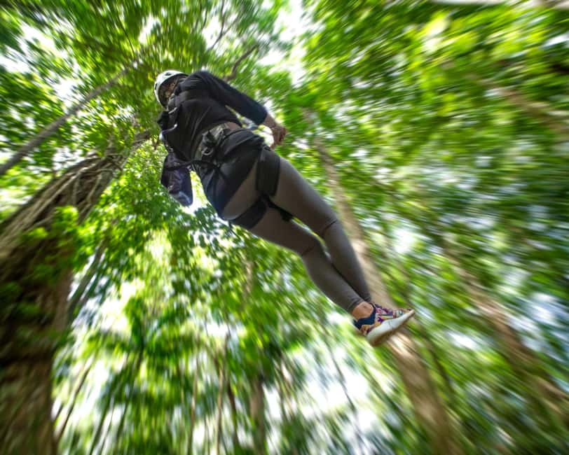 Castries, St. Lucia - Adrenaline Zipline - Eight Ziplines, Sixteen Platforms: The Ride Experience