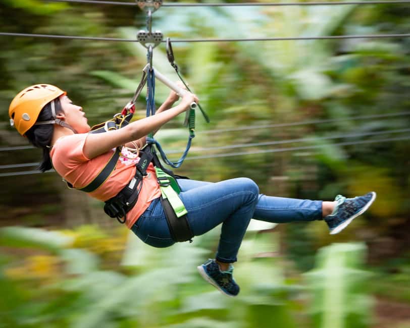 Castries, St. Lucia - Adrenaline Zipline - Short Rainforest Trail Hops: More Than Just Flying