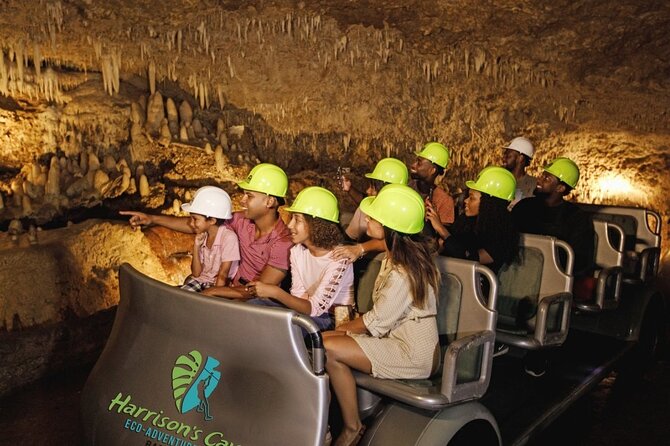 Cave & Monkey Zipline Experience at Harrison's Cave by Chukka - Key Things I’d Pay Attention To