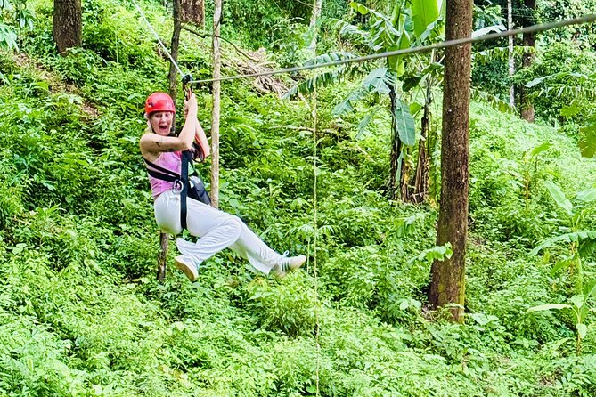 Chiang Mai 3 in 1 Zipline, Elephants and Sticky Waterfall - Ziplining through the jungle canopy: action with hands-on coaching
