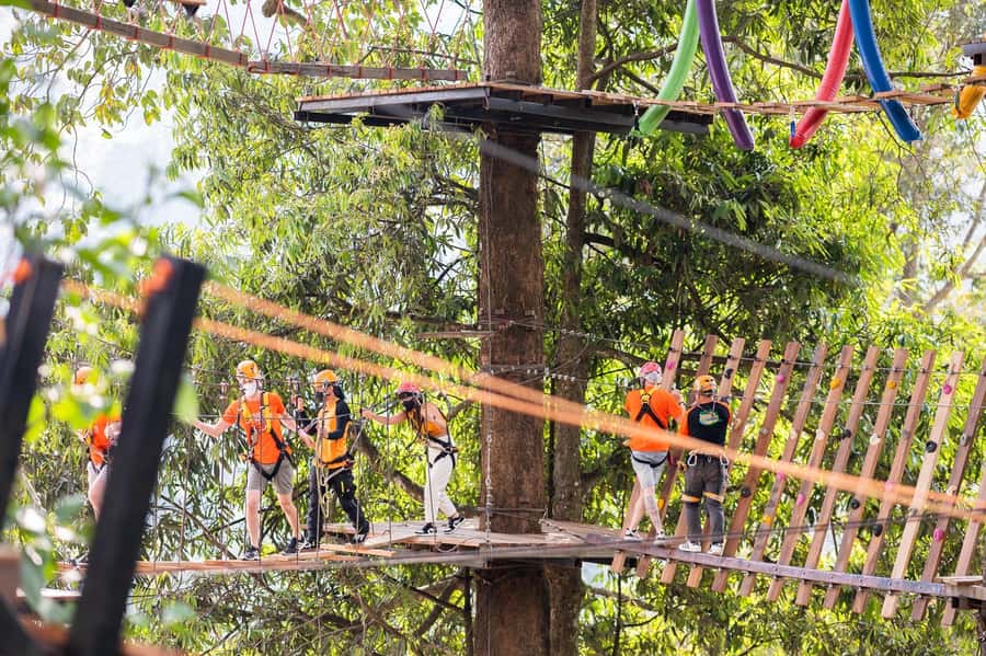 Chiang Mai: Pongyang Jungle Coaster & Zipline with Transfer - Tips to Avoid Common Frustration on Ride Day
