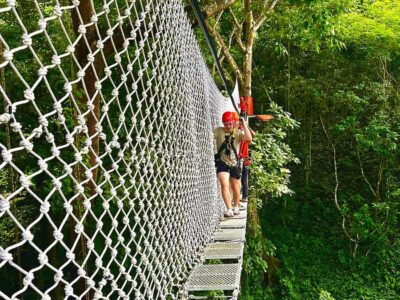 Chiang Mai: Sticky Waterfall and Zipline Adventure Day Trip - Zipline Over the Jungle Canopy: 39 Platforms and 24 Runs