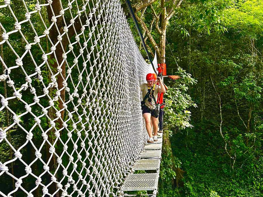 Chiang Mai: Sticky Waterfall and Zipline Adventure Day Trip - Zipline Over the Jungle Canopy: 39 Platforms and 24 Runs