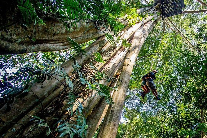 Chiang Mai Zipline White Water Rafting and Elephant Sanctuary - Price and value: $154.88 is it fair for this much in one day?