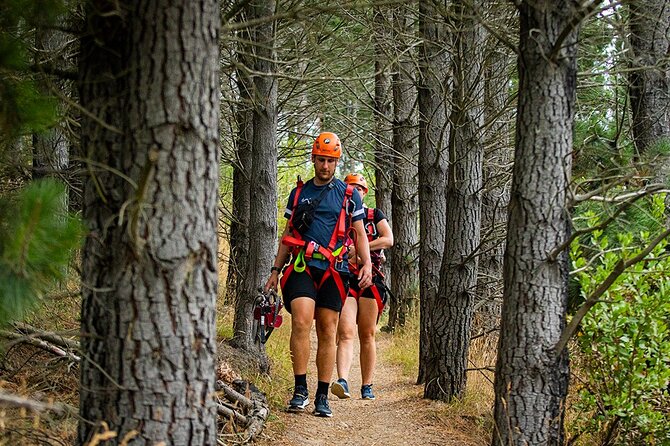 Christchurch Zipline Tour - Who should book this Christchurch zipline tour (and who should skip it)