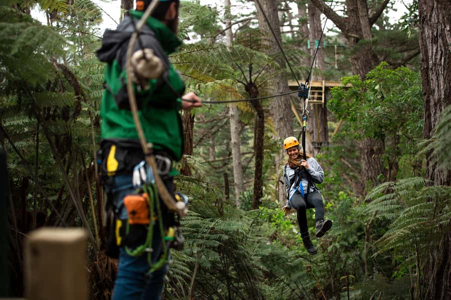 Coromandel: Guided Zipline Tour Experience - Coromandel Canopy Time: Ziplines plus a mountain railway start