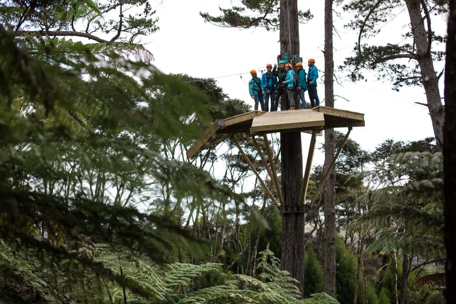 Coromandel: Guided Zipline Tour Experience - The ride to the start: why the mountain railway matters