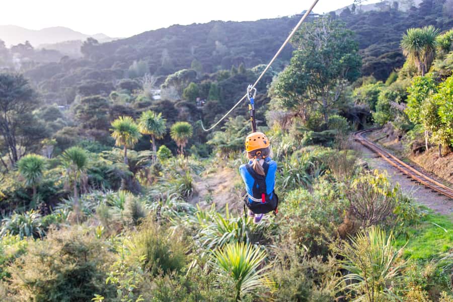 Coromandel: Guided Zipline Tour Experience - The course itself: 8 ziplines, native forest layers, and real stories