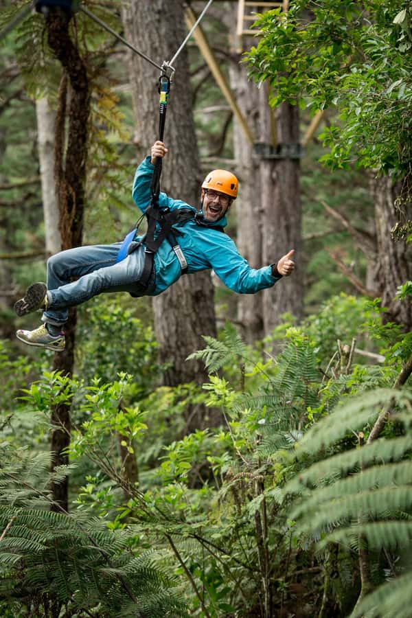 Coromandel: Guided Zipline Tour Experience - Safety and comfort: where this tour earns its high rating