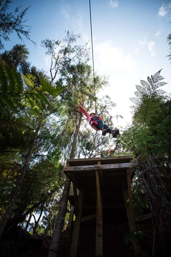 Coromandel: Guided Zipline Tour Experience - Small group pacing: max 10 people is a feature, not trivia