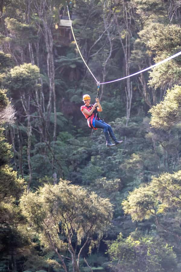 Coromandel: Guided Zipline Tour Experience - What you pay: $87 and how to judge value
