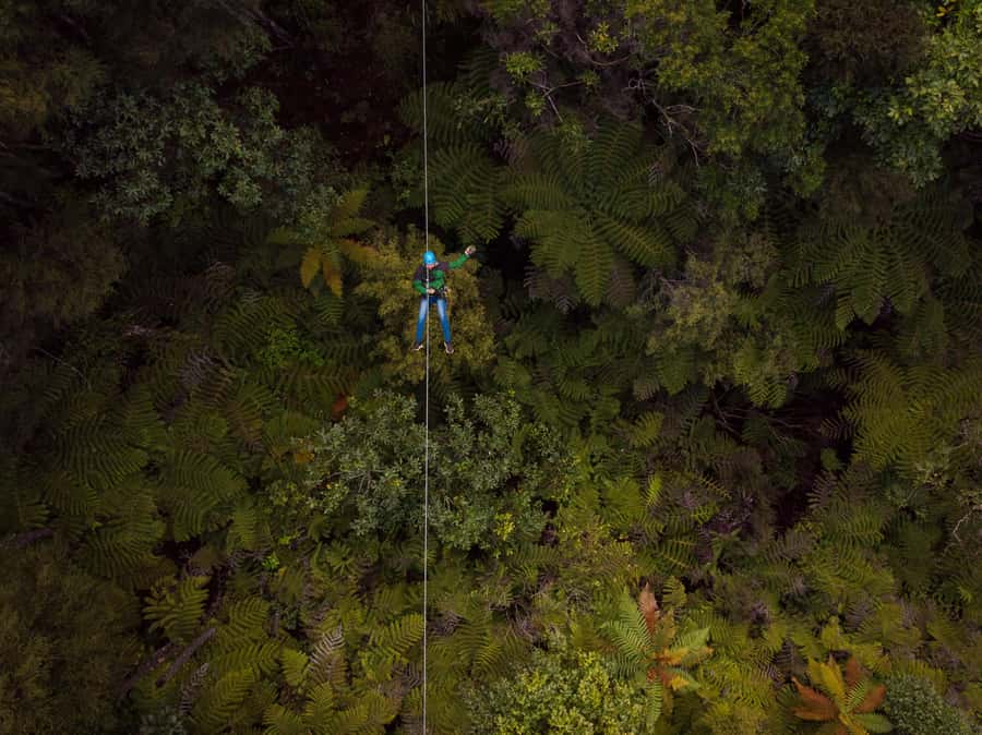 Coromandel: Guided Zipline Tour Experience - Before you fly: gear up, get briefed, and get ready