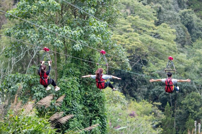 DaLat Canyoning & Experience 1500m Zipline - Forest Zipline That Actually Matches the Da Lat Setting