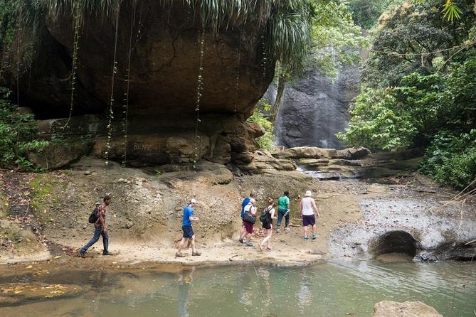Day of Adventure - Zipline and Hike or Bike - Entering Treetop Adventure Park: an 8:00 am start with momentum