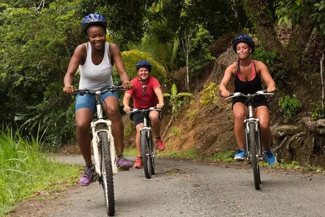 Day of Adventure - Zipline and Hike or Bike - What the guides and crew add (the part that turns a thrill into a trip)