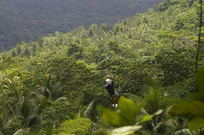 Day of Adventure - Zipline and Hike or Bike - Small group size: why a max of 8 people matters