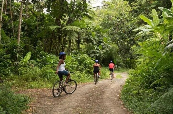 Day of Adventure - Zipline and Hike or Bike - Price and value: what $126.93 covers in real life